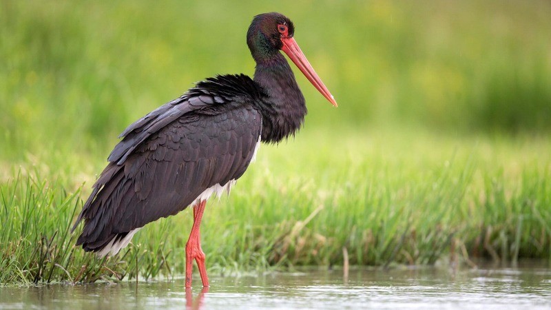 image084